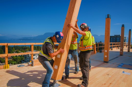 construcao-estrutura-edificio-madeira-mais-alto-mundo-05