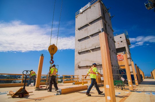 construcao-estrutura-edificio-madeira-mais-alto-mundo-06