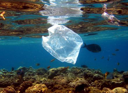sacolas-plasticas-banidas