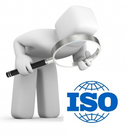 download norma iso 19011